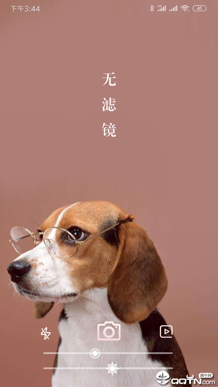 今期生肖讲故事吼中杂狗全可收是什么生肖与警惕虚假宣传-全面释义、精准解答解释落实