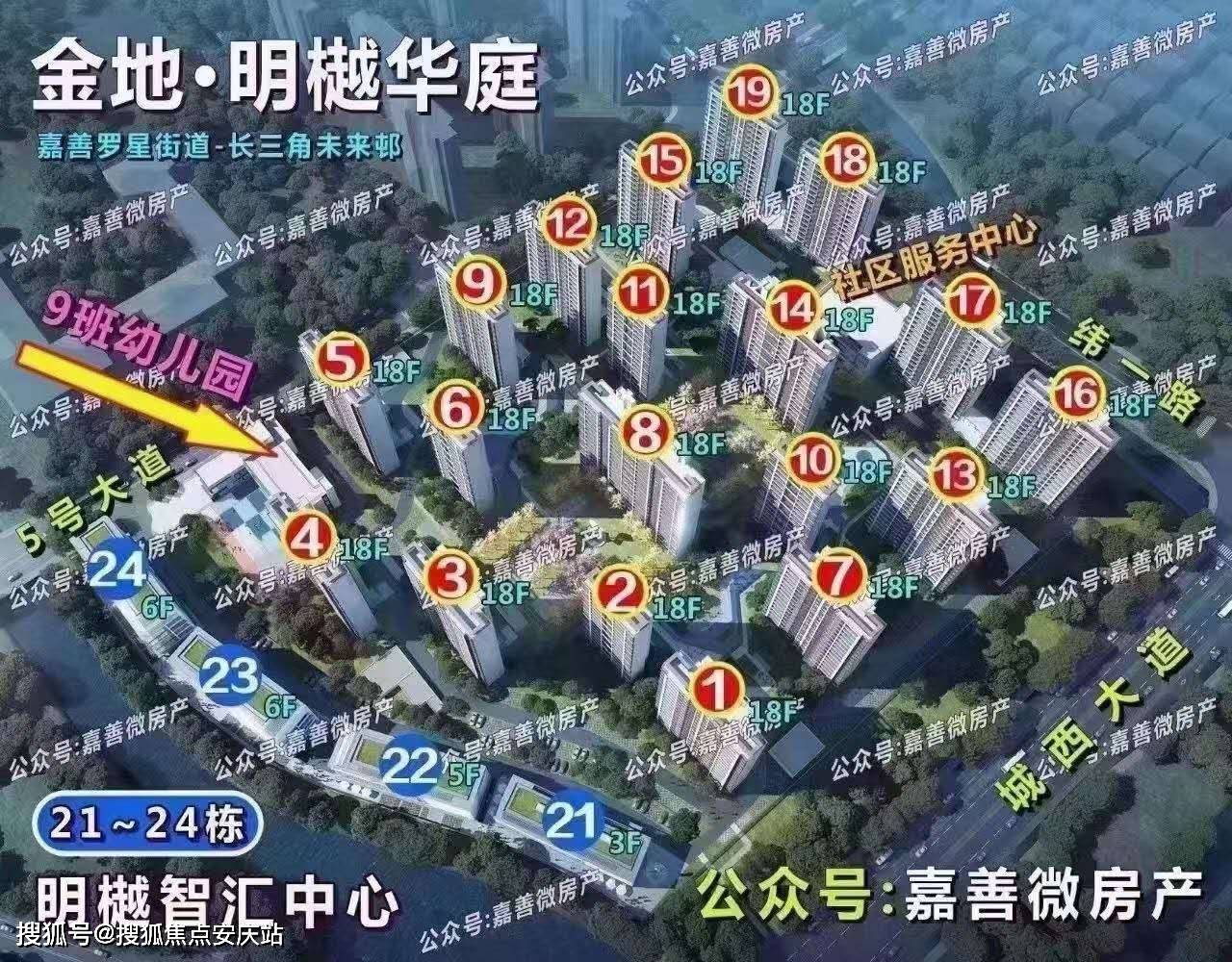 欲钱找最最忙的动物打一准确生肖，详细解答、构建解答解释落实